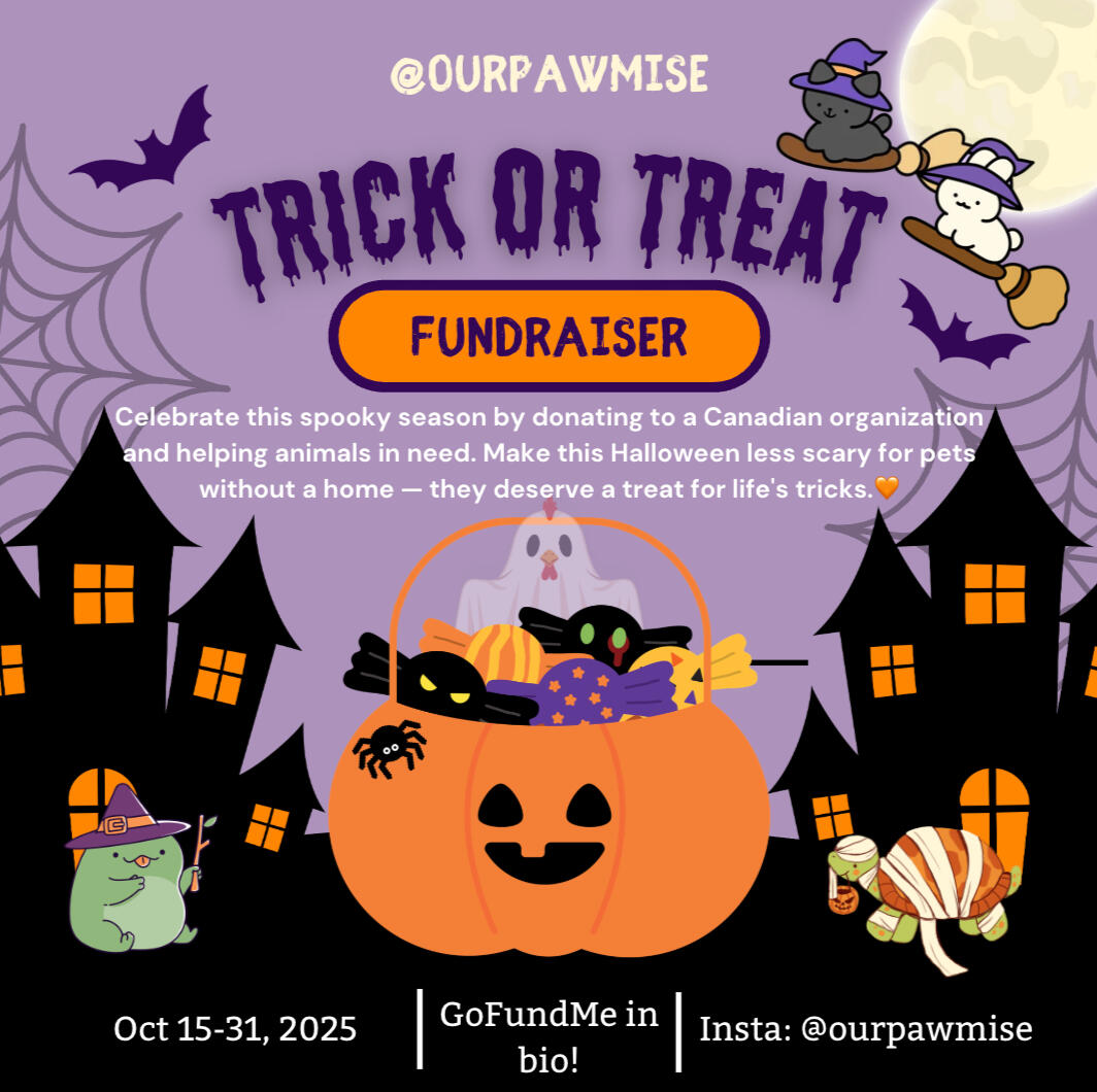 October 2025 Fundraiser (raised $1k+)