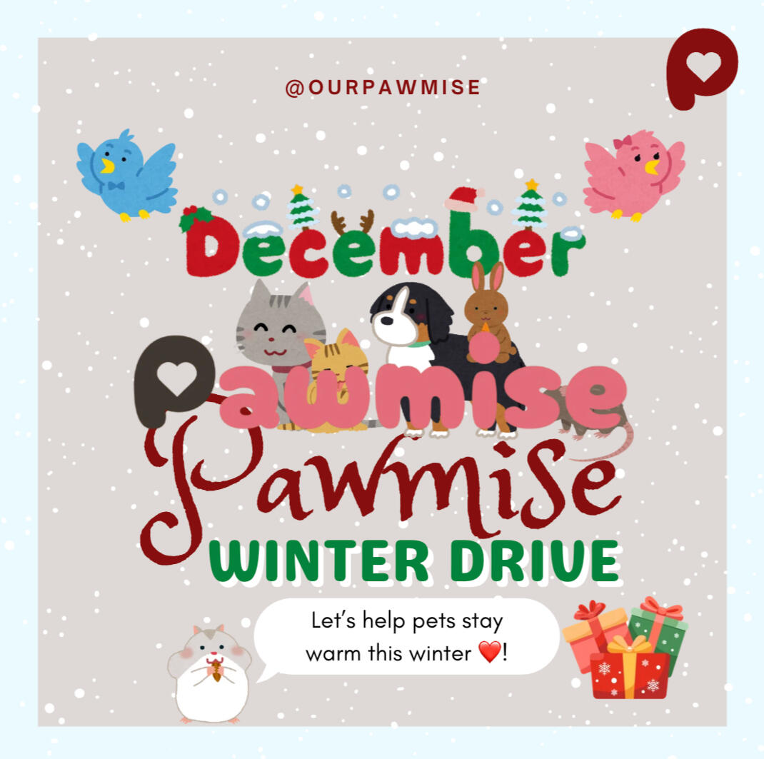 December 2025 Pawmise Winter Drive ($450+ worth in supplies)