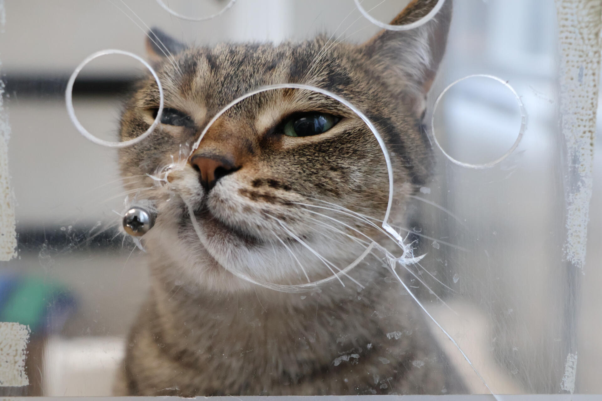 Photo by Anna Kumpan on Upsplash